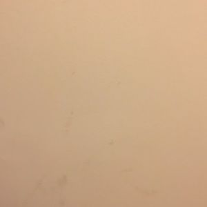 Meet your Posher, Beatriz